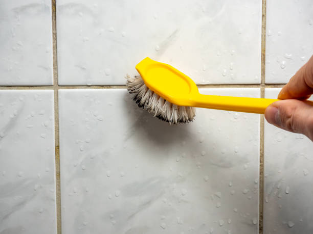 Best Best Mold Removal Companies  in Fort Shawnee, OH