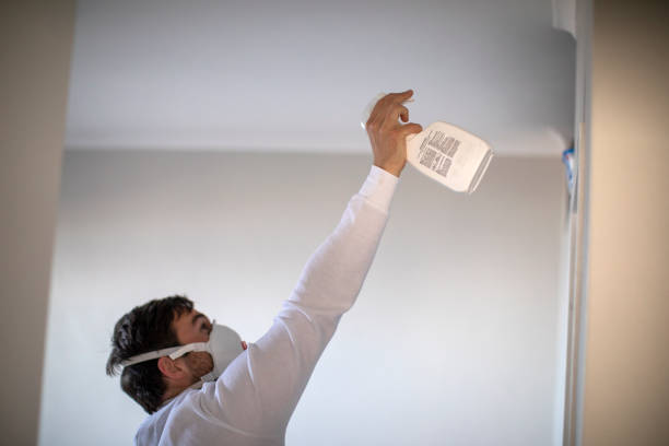 Best Water Damage Restoration  in Fort Shawnee, OH