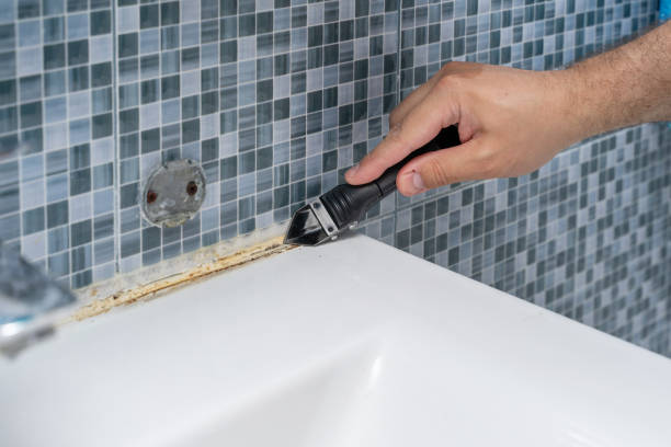 Best Certified Mold Removal  in Fort Shawnee, OH